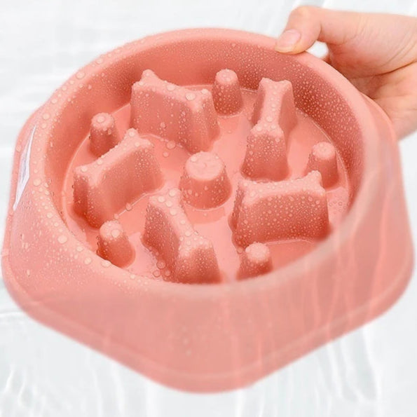 Gamelles pour chiens à alimentation lente pour chiots et junior