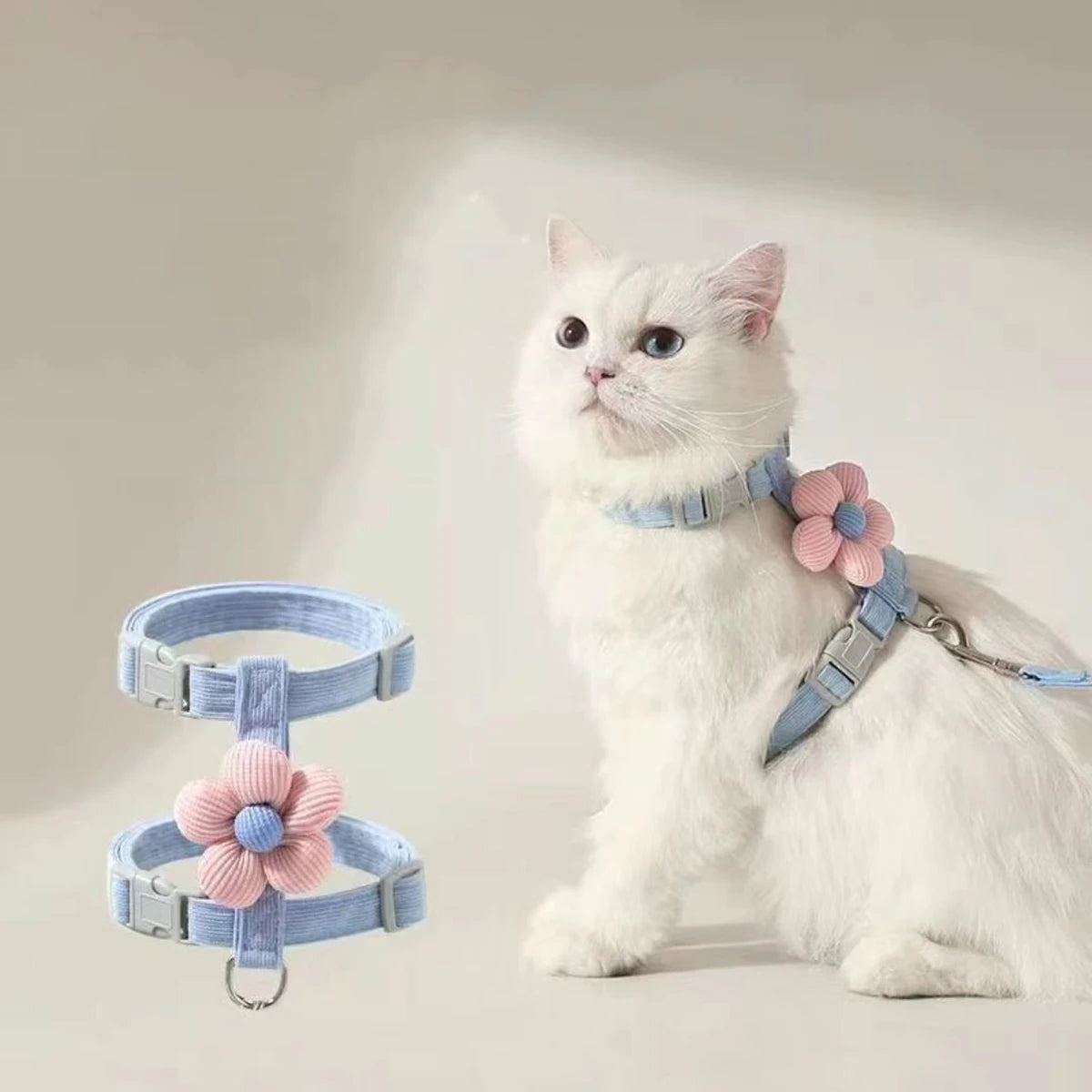 Harnais et laisse pour chat