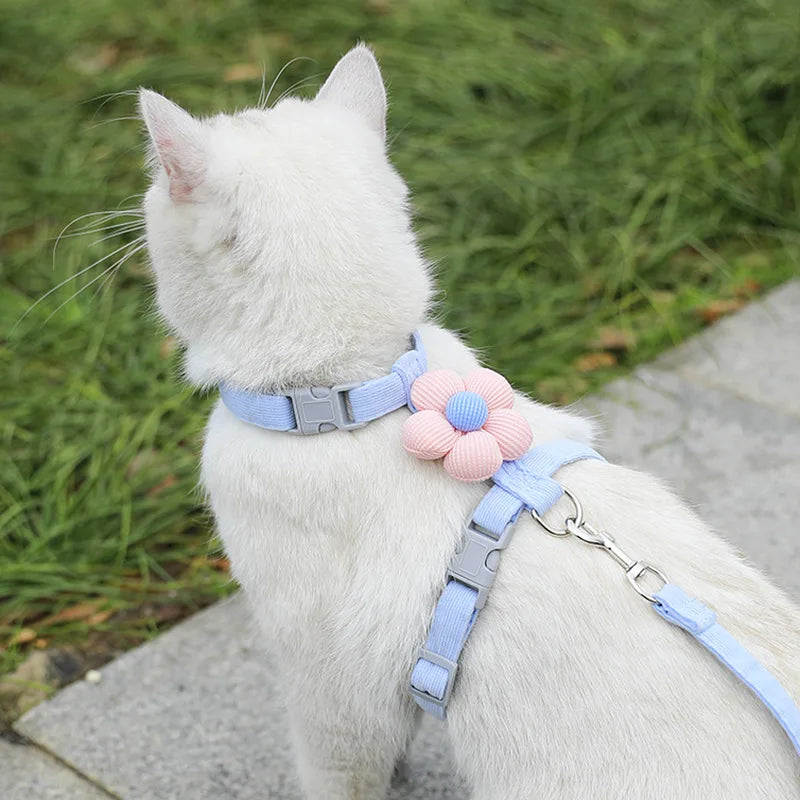 Harnais et laisse pour chat