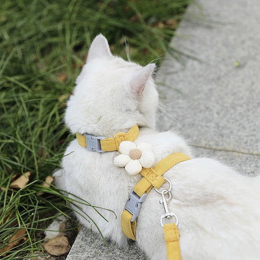 Harnais et laisse pour chat