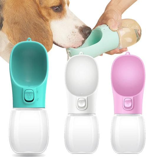 Bouteille d'eau portable pour chien, pour petits et grands