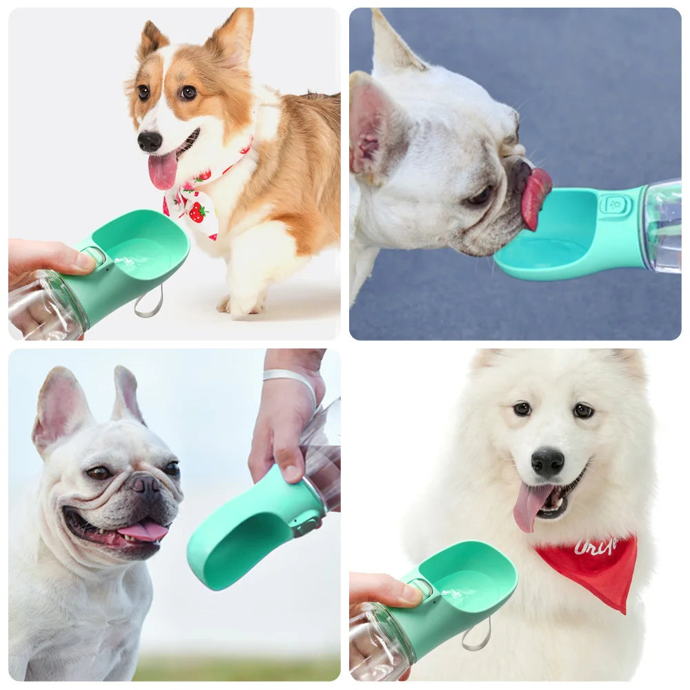 Bouteille d'eau portable pour chien, pour petits et grands