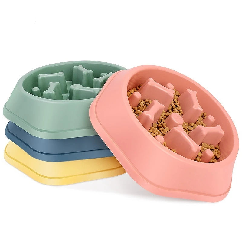Gamelles pour chiens à alimentation lente pour chiots et junior