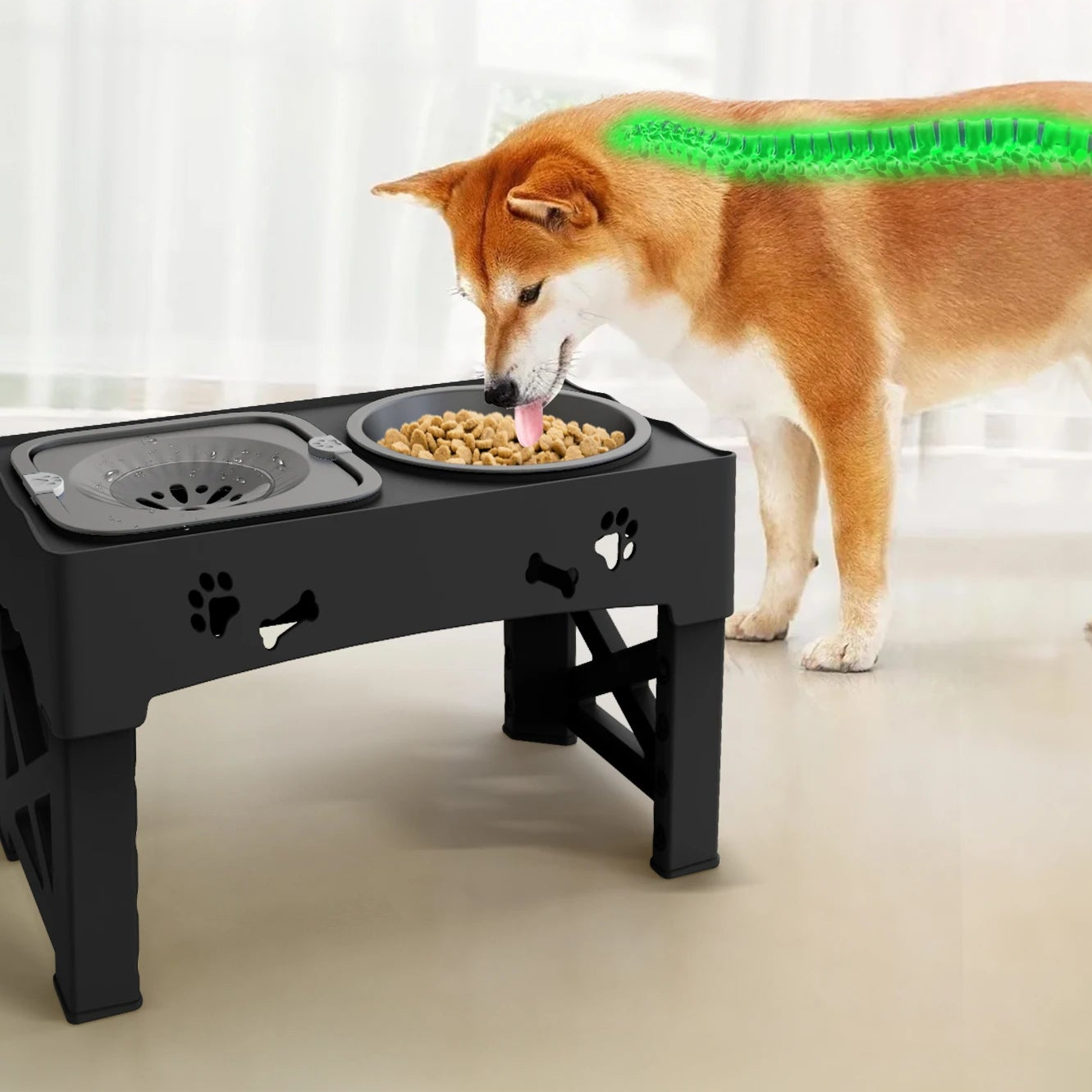 Gamelle 3 en 1 pour animaux – Double bol pliable avec hauteur réglable