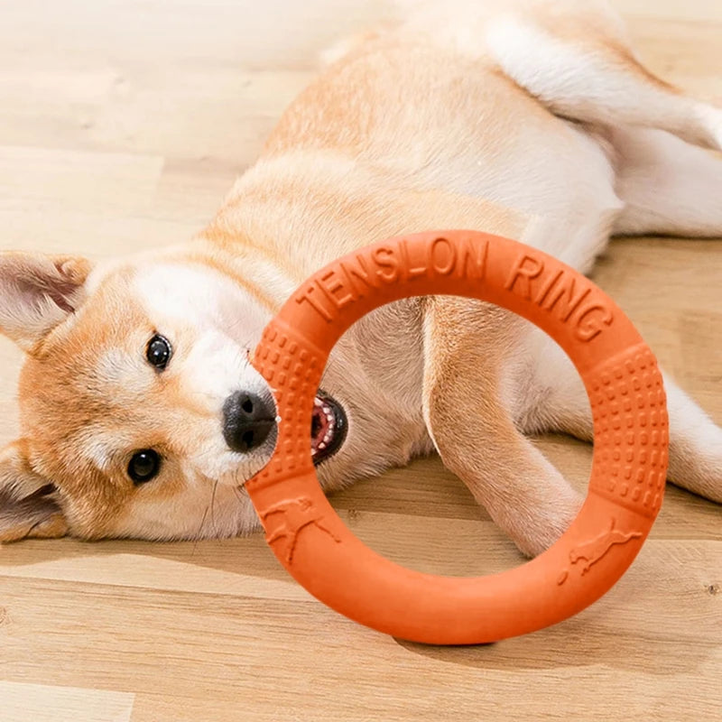 Jouets pour chiens anneau d'entraînement en EVA