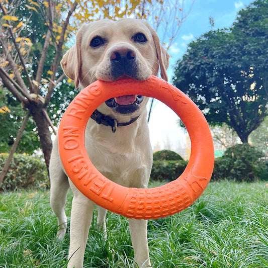 Jouets pour chiens anneau d'entraînement en EVA