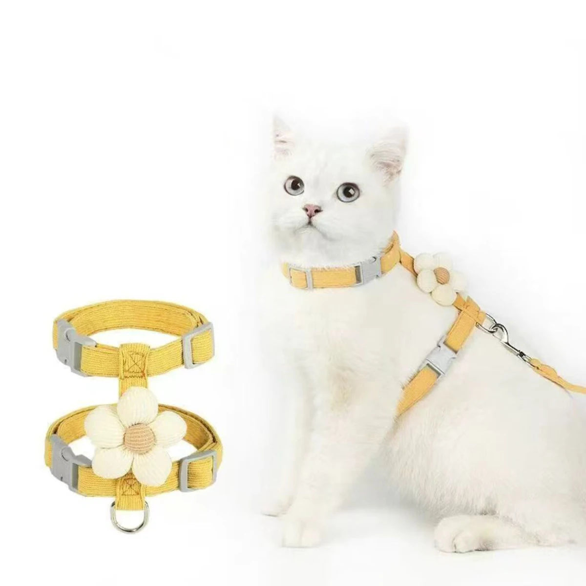Harnais et laisse pour chat