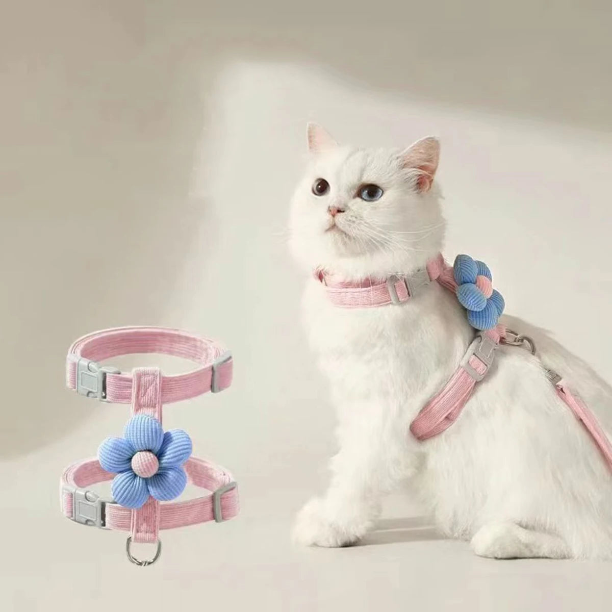 Harnais et laisse pour chat